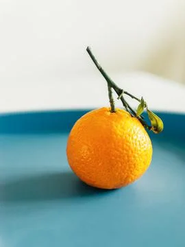 Single mandarin Stock Photos