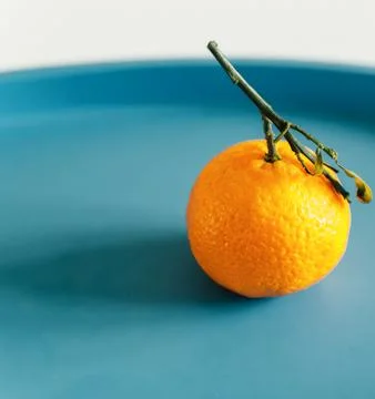 Single mandarin Stock Photos