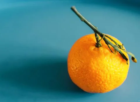Single mandarin Stock Photos