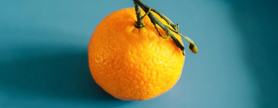 Single mandarin Stock Photos