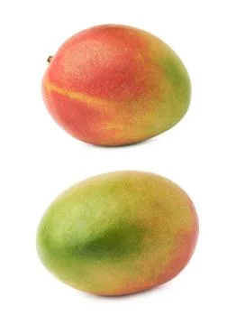 Single mango fruit isolated Stock Photos