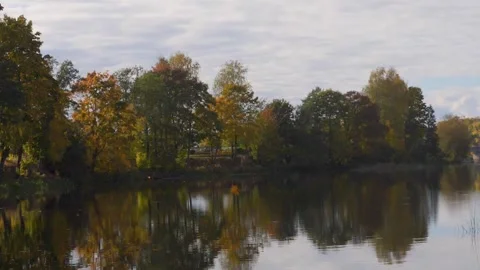 A Single Maple Leaf Falling in Slow Motion onto a Water Surface Stock Footage 318546657