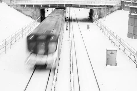 A single maple leaf in the snow Stock Photos
