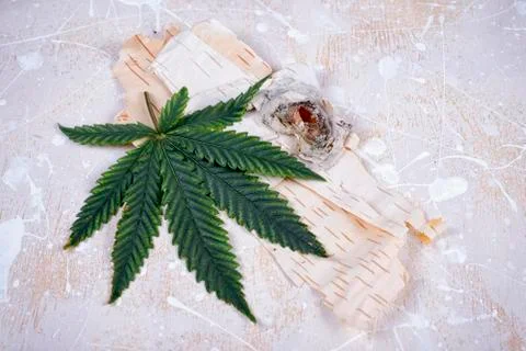Single marijuana leaf with bark Stock Photos