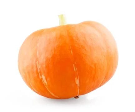 Single mini pumpkin Stock Photos