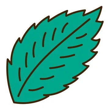 Single mint leaf hand drawn illustration Illustrazione stock
