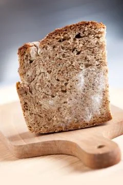 Single moldy bread portion Stock Photos
