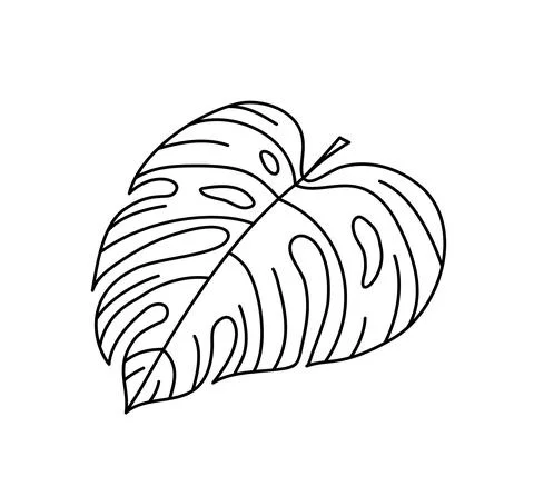 Single monoline vector drawing exotic tropical leaf monstera plant. Printable 스톡 일러스트