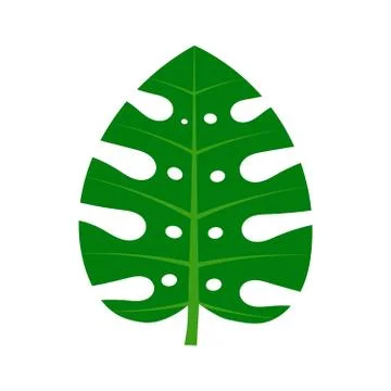 Single monstera leaf icon. Vector illustration Stock Illustration