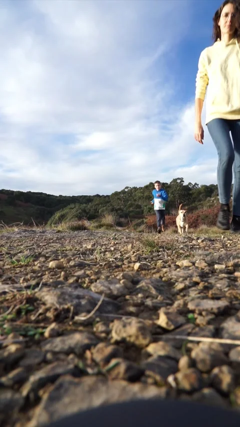 Single mother walking with her son and dog through the countryside Stock Footage 261719482