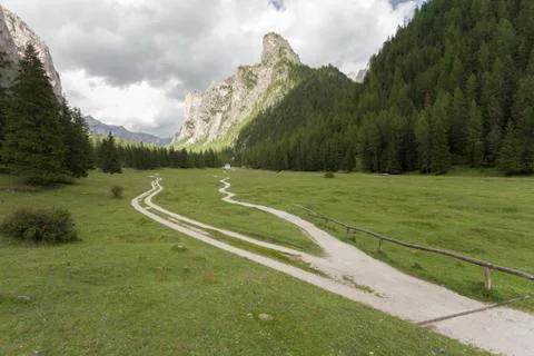 A single mountain path splits in two different directions. Stock Photos
