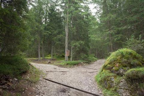 A single mountain path splits in two different directions. Stock Photos