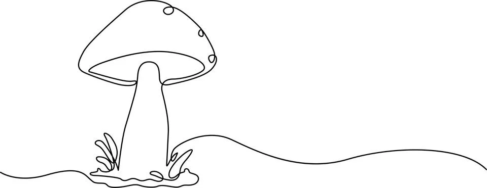 Single mushroom in nature Vector イラスト素材