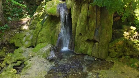 Single narrow waterfall streaming down moss-covered rock Video stock 315007264