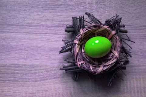 Single natural egg in the nest. Stock Photos