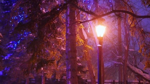 Single night lantern illuminates the snowfall in the park Vidéo 71150004