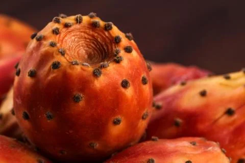 Single nopal or cactus macro Stock Photos