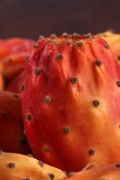 Single nopal or cactus macro Stock Photos