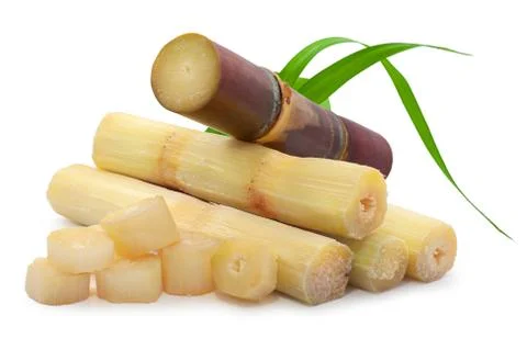 Single object of sugar cane isolated on white background Stock Photos