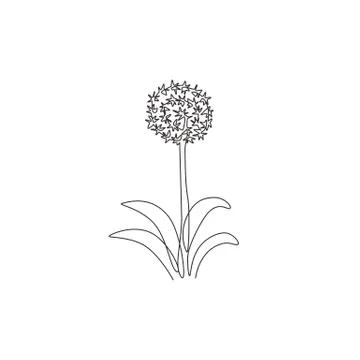 Single one line drawing of beauty fresh allium giganteum for garden logo Stock Illustration