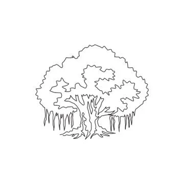 Single one line drawing of big shady and beauty leafy banyan tree. Decorative Illustrazione stock