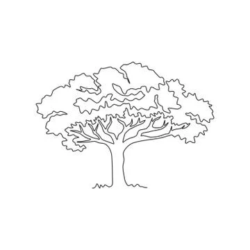 Single one line drawing of exotic and beauty marula tree. Decorative Stock Illustration