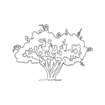 Single one line drawing of exotic Japanese sakura tree for home art wall 스톡 일러스트