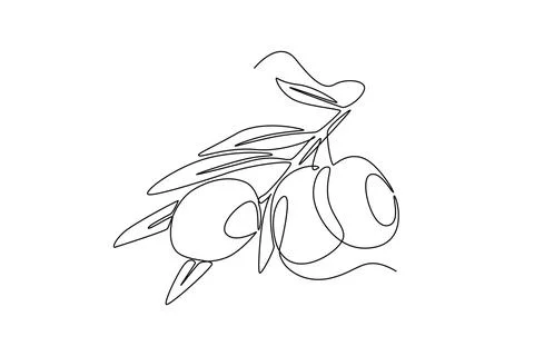 Single one line drawing of heap healthy organic olive fruit for gardening l.. Stock Illustration