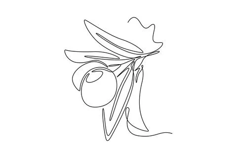 Single one line drawing heap healthy organic olive fruit for green garden l.. Stock Illustration