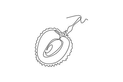 Single one line drawing peeled healthy organic lychee for orchard logo iden.. Stock Illustration