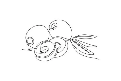 Single one line drawing of pile healthy organic olive fruit for orchard log.. Stock Illustration