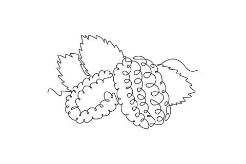 Single one line drawing of whole healthy organic mulberry for orchard logo .. Stock Illustration