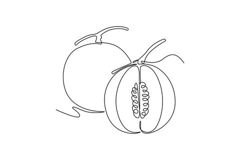Single one line drawing of whole and half sliced healthy organic melon for .. Stock Illustration