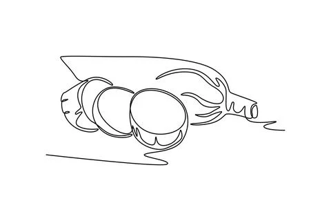 Single one line drawing of whole healthy organic yuca cassava for plantatio.. Stock Illustration