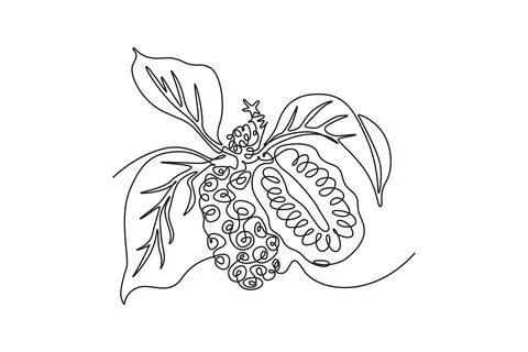 Single one line drawing of whole and half sliced healthy organic noni for l.. Stockillustratie