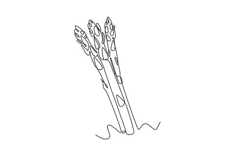 Single one line drawing whole healthy organic asparagus for plantation logo.. イラスト素材