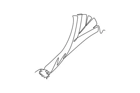 Single one line drawing whole healthy freshness organic leek for plantation.. Stock Illustration