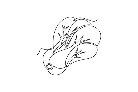 Single one line drawing of whole healthy organic green bok choy for farm lo.. Stock Illustration