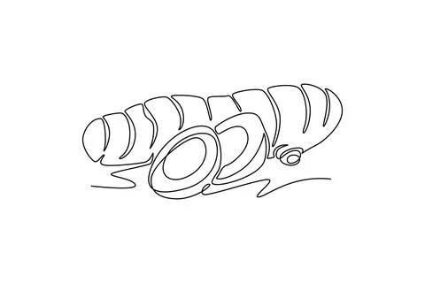 Single one line drawing of whole and sliced healthy organic turmeric for fa.. Illustrazione stock
