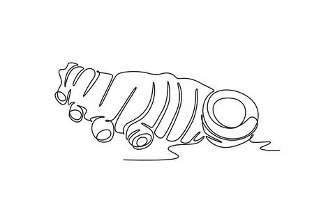 Single one line drawing of whole healthy freshness organic turmeric for far.. Ilustración de archivo