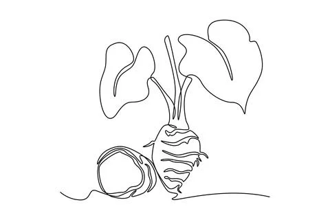 Single one line drawing of whole healthy organic taro for gardening logo id.. Stock Illustration