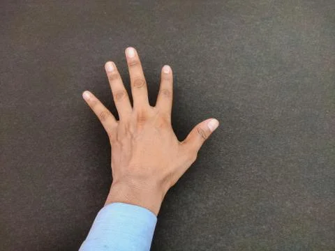 Single open hand Isolated backside view with stretched fingers showing counting 스톡 사진