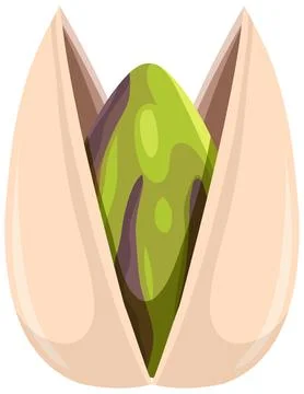 Single Open Pistachio Nut Vector Illustration on White Background Stock Illustration