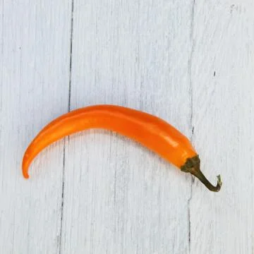 Single orange capsicum pepper Fotos de archivo