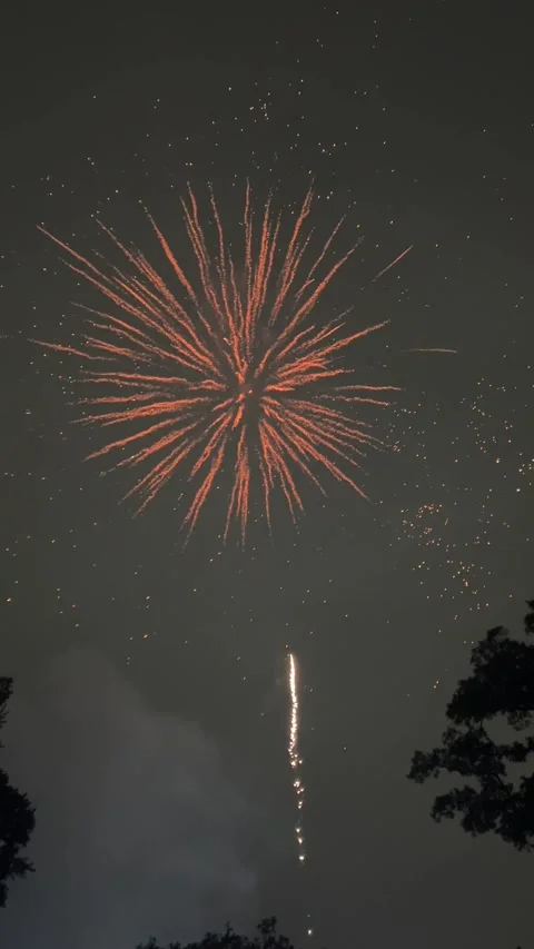Single Orange Firework Exploding In Night Sky With Rocket Trail Trees Video stock 346362573