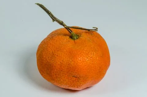Single orange Stock Photos