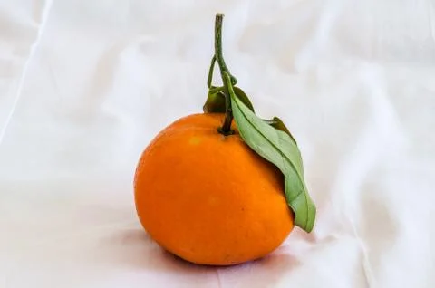 The single of orange Stock Photos