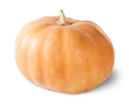 Single orange pumpkin Stock Photos