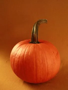 Single orange pumpkin - standing alone, proud Stock Photos