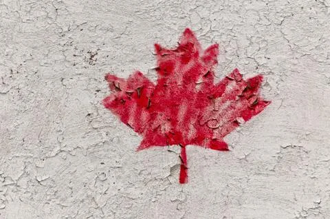 Single painted red maple leave Stock Photos